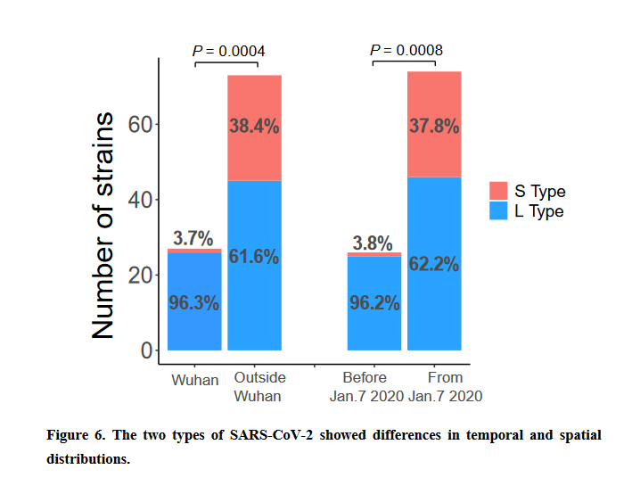 新冠病毒已突变系误读,s 亚型实际上是 l 亚型的「祖先」?