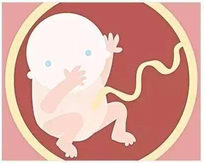 胎儿的性别你别猜丨这四种胎儿性别鉴定方法不可靠