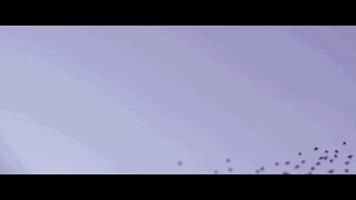 黑崎的失踪,水岛家出现的一些异常现象以及阵治对要出门的十和子说的