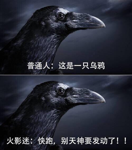 ѻ,Ӱλɫѻй.