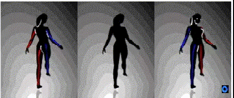 神奇的旋转动图, 从左边看顺时针, 从右边看反时针?