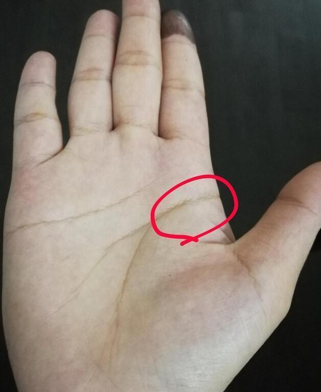 手相中这两条线首尾分叉,一婚难到头,二婚明显!