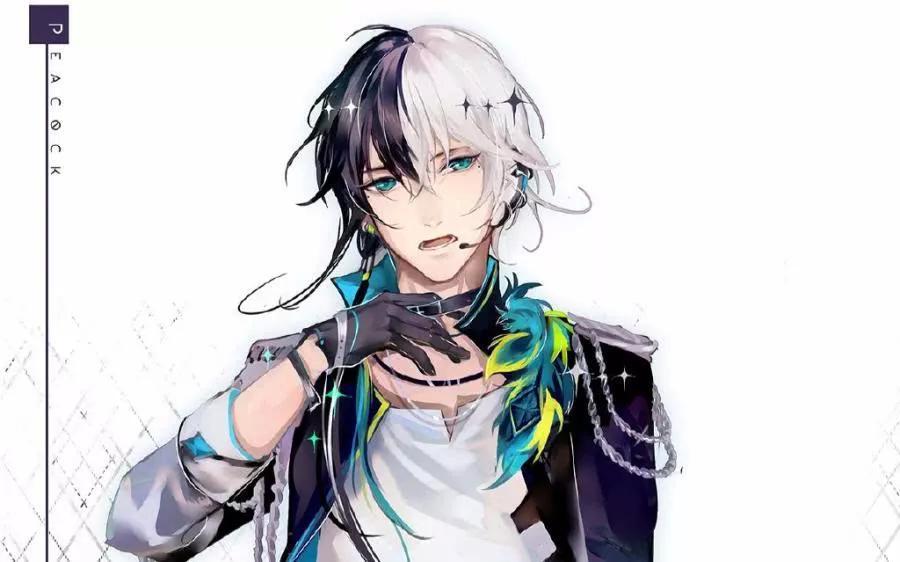 身为vocaloid家族中镜音双子的亚种,逆音双子在镜音的原设定基础上