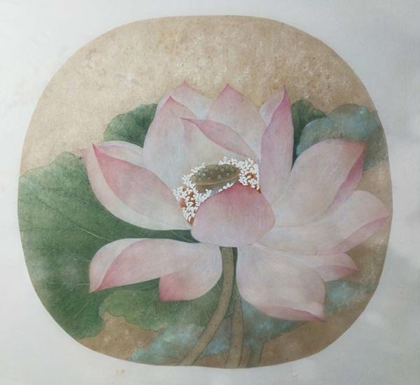 工笔画家临摹故宫博物院收藏的《出水芙蓉图》并分享经验