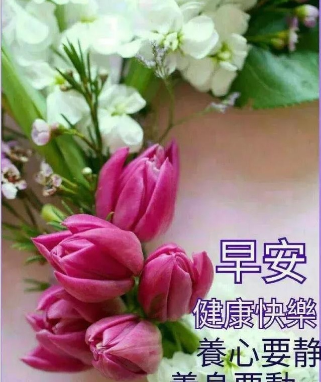 6月25日清早问候大家早上好漂亮动态表情图片,早晨好漂亮祝福